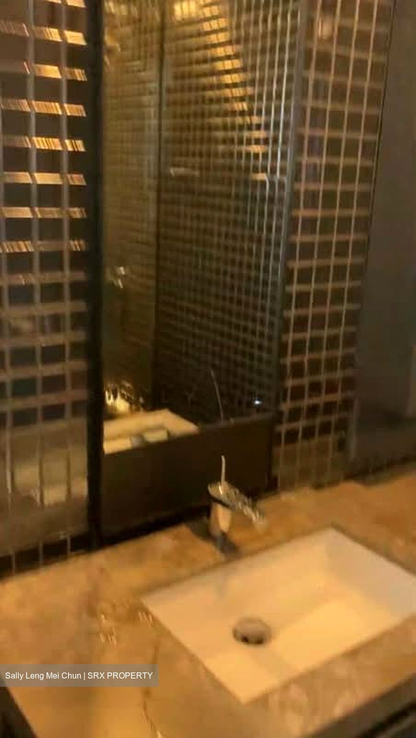 Skysuites@Anson (D2), Apartment #597612661